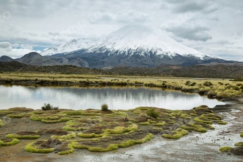Preview: Snow capped Parinacota volcano