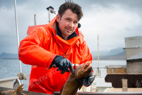 Preview: Fisherman gutting fish