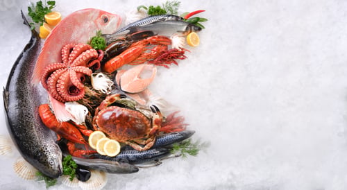 Preview: Seafood Fish