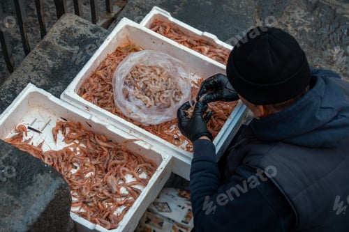 Preview: Fishmonger peeling shrimp at local market in Catania, Sicily