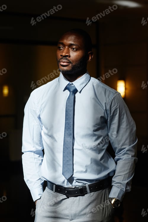 Preview: African Businessman in Sunlight