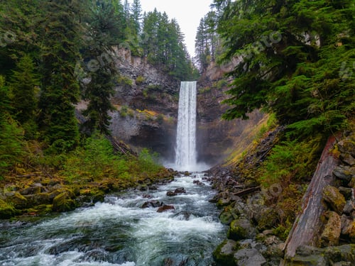 Preview: Waterfall, river and green trees in Canadian Nature Landscape.