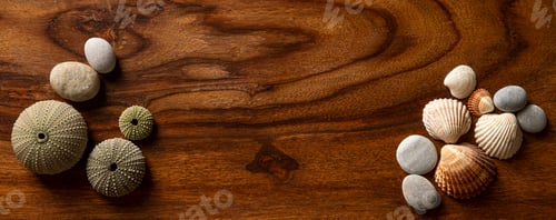 Preview: Sea Pebbles with Seashells on a Dark Wooden Texture
