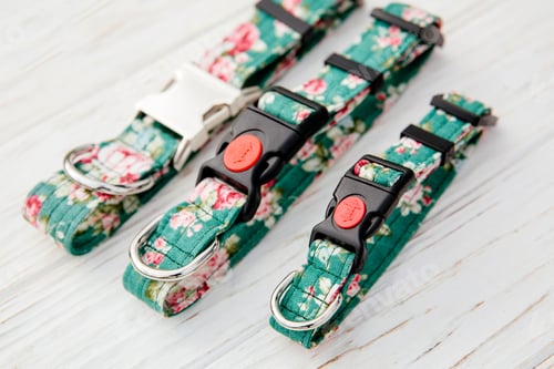 Preview: Dog Collar and Leash set. Pet Supplies and Walking Gear Collection