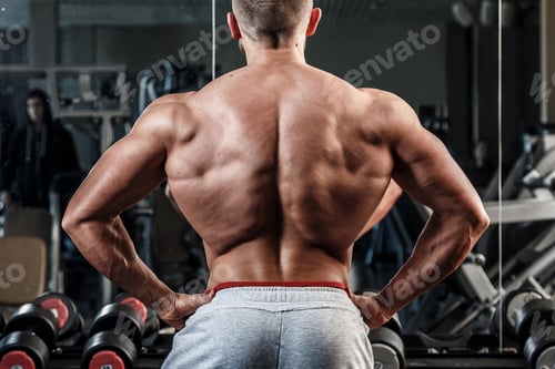 Preview: Young man showing his muscular back in gym