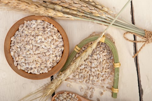 Preview: organic wheat grains