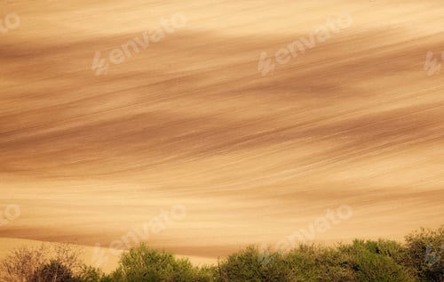 Preview: Abstract spring landscape in South Moravia with yellow fields