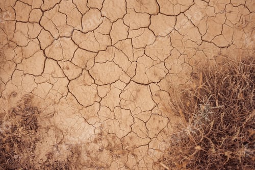 Preview: Cracked Earth and Dry Brush in Arid Landscape
