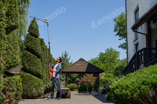 Preview: Skilful male landscaper using high altitude hedge trimmer for topiary, shaping thuja in park.