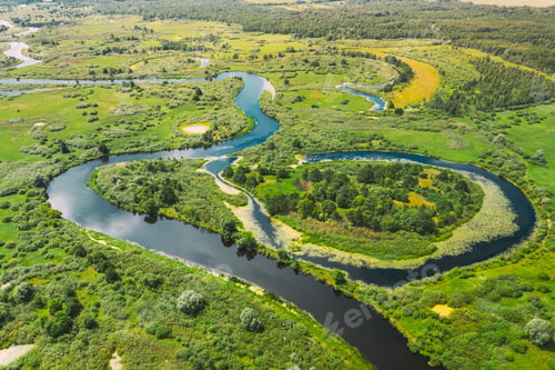 Preview: Aerial View Green Forest Woods And River Landscape In Sunny Spring Summer Day. Top View Of Beautiful