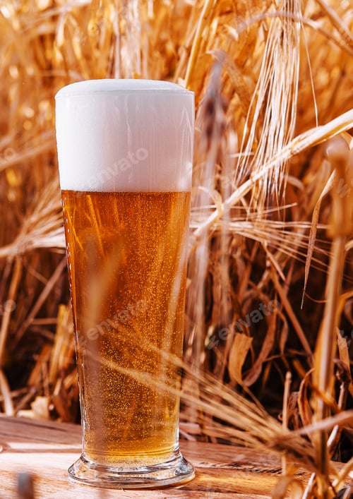 Preview: glass of beer in a wheat field