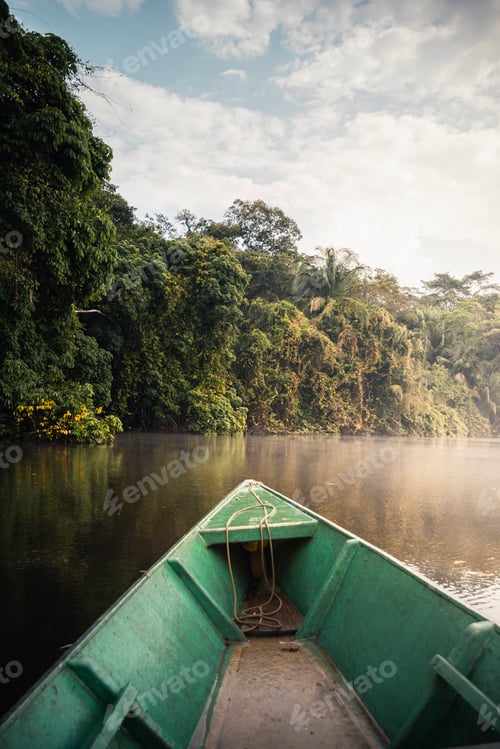 Preview: Exploring the amazon rainforest by boat: tranquil river journey