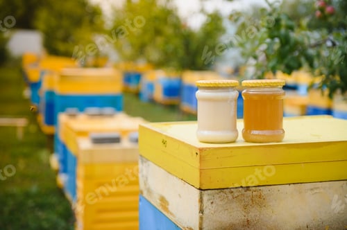 Preview: Honey jar and beehives on meadow in springtime. Apiculture and honey production.