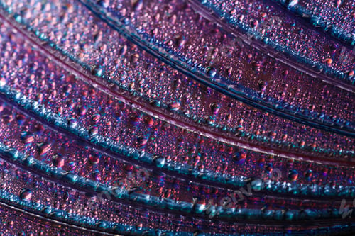 Preview: Colorful, Rainbow, Abstract Background. Water Drops. Condensate. Texture Of Glass. Parallel Lines