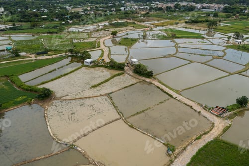 Preview: Top view of rice field in Hong Kong Sheung Shui
