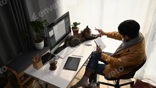 Preview: Above view of young man graphic designer working with modern computer and playing his cat.