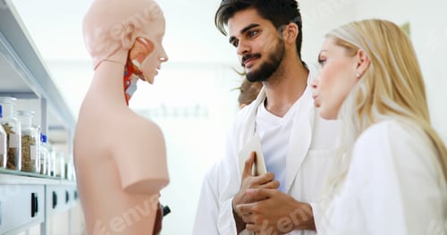 Preview: Students of medicine examining anatomical model in classroom
