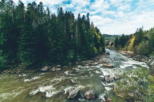 Preview: Forest stream running over rocks, a small waterfall. Sunny day, summer