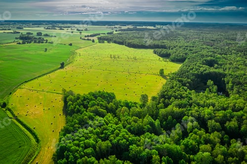 Preview: Sheaves of hay on field. Agriculture in countryside in Poland.