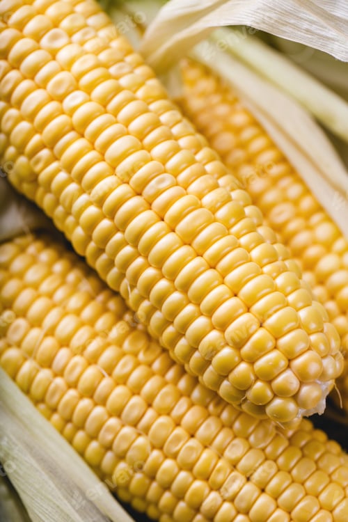 Preview: Corn cob harvest