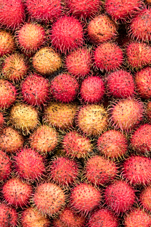 Preview: Rambutan fruits
