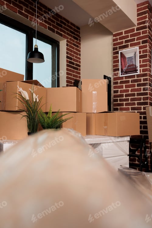 Preview: Nobody in empty living room bought on mortgage loan