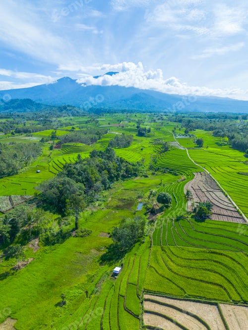 Preview: beautiful morning aerial view of Indonesia with mountains and tropical forests