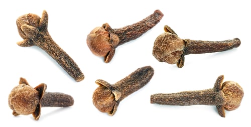 Preview: Fragrant clove buds isolated on white, set