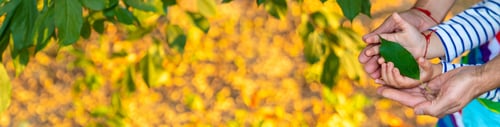 Preview: children and parents hold a piece of leaf in their hands. Selective focus.