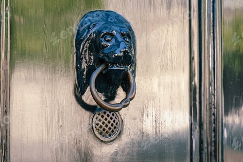 Preview: Vintage Lion Head Door Knocker On Painted Door