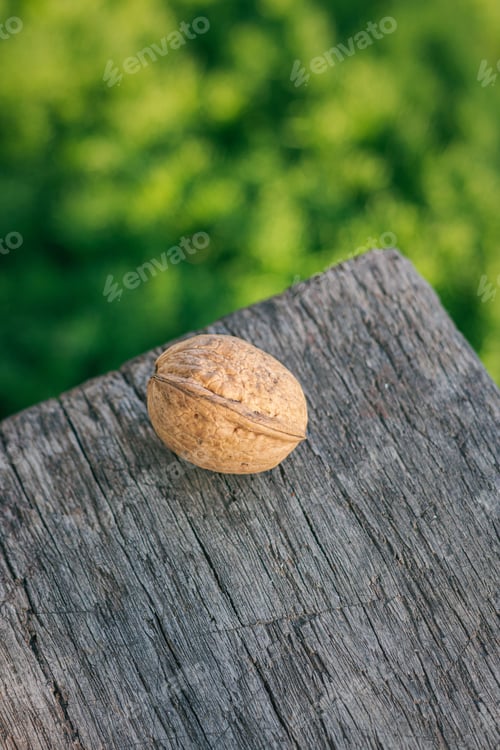 Preview: Single walnut on a wooden surface, with lush green grass in the background