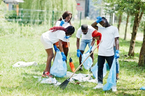 Preview: Africa volunteering, charity, people and ecology