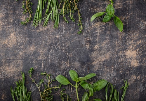 Preview: Rosemary, thyme and basil. Fresh garden herbs