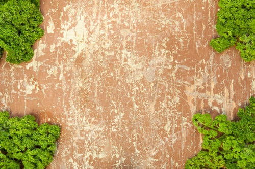 Preview: Parsley leaves on wooden background