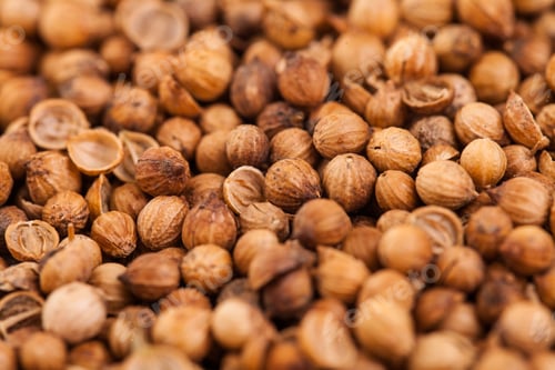 Preview: Coriander Seeds Extreme Closeup