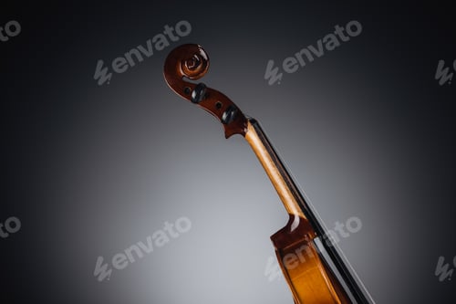 Preview: close up of classic violoncello on dark background