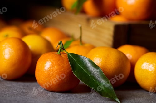 Preview: selective focus of organic clementine near tangerines with green leaves