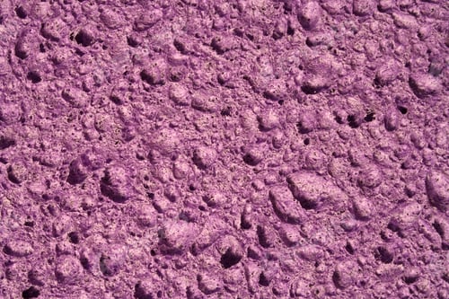 Preview: Purple sponge