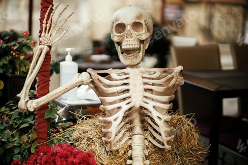 Preview: Scary skeleton, flowers, haystacks in street. Spooky Halloween decor. Happy halloween. Fall Market