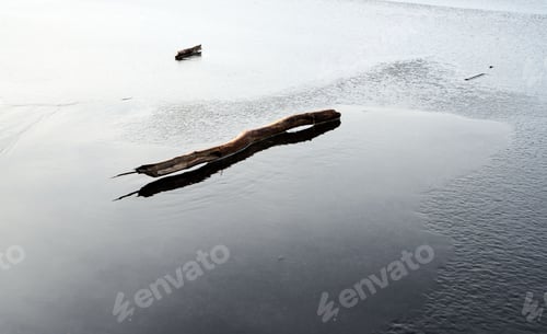 Preview: Tranquil view of a log in the serene body of water