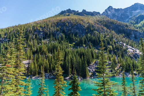 Preview: Evergreen forest covered mountain at lake