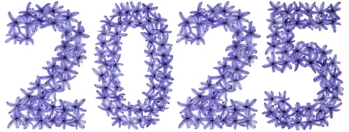 Preview: Inscription 2025, from natural flowers of hyacinth, isolated on white background