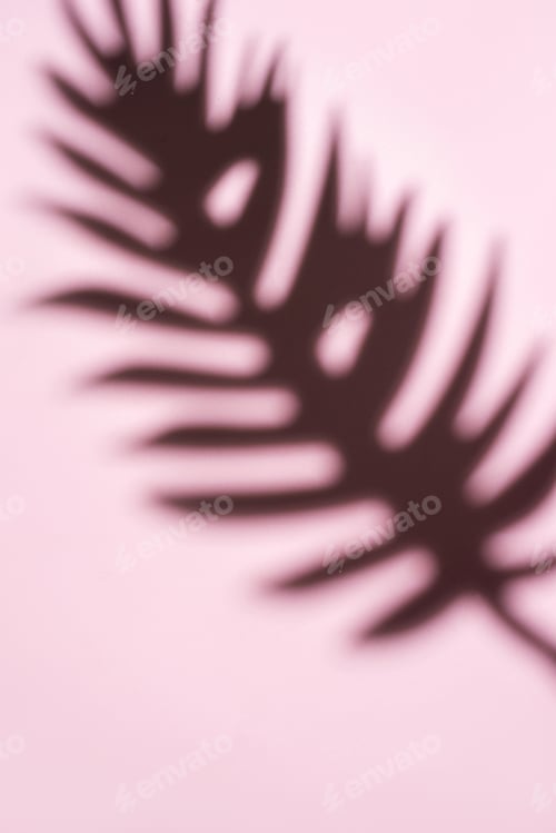 Preview: Shadows from palm leaves