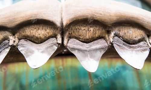 Vista previa: shark teeth