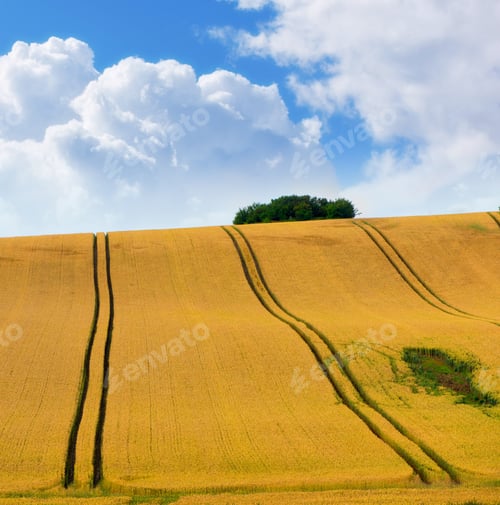 Preview: Harvest - the countryside