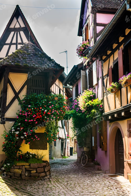 Preview: Traditional french houses and shops in Eguisheim, Alsace, France