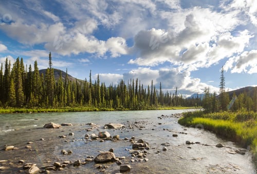 Preview: River in Canada