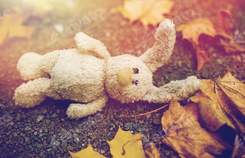 Preview: toy rabbit and autumn leaves on road or ground