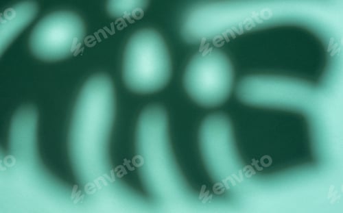 Preview: Shadows from monstera leaves
