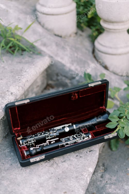 Preview: Clarinet in a box stands on the stone steps of a building